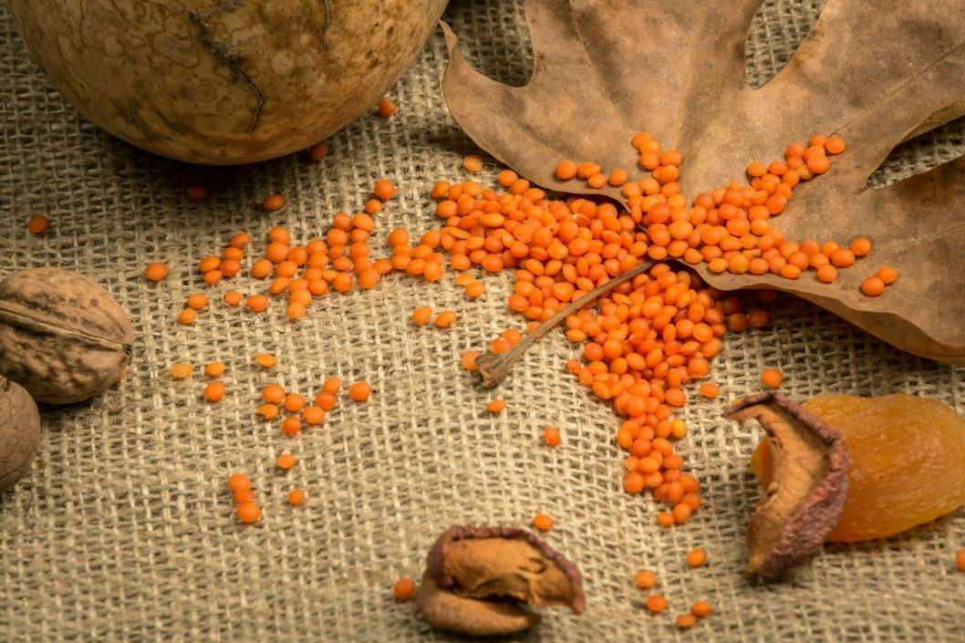lentilles-corail-bienfaits