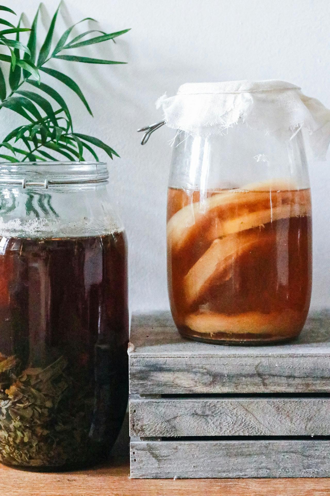 Kombucha bio