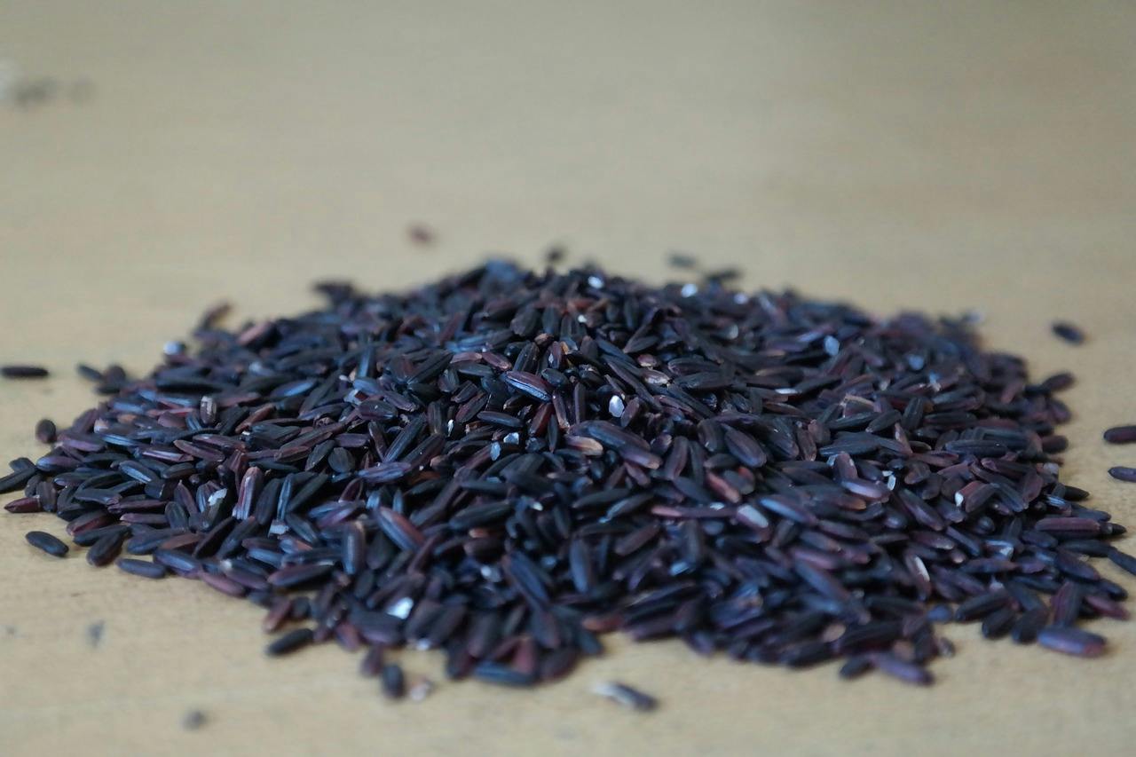 Caori Riz Calorie Riz Noir – 11 avantages et utilisations incroyables du riz noir ...