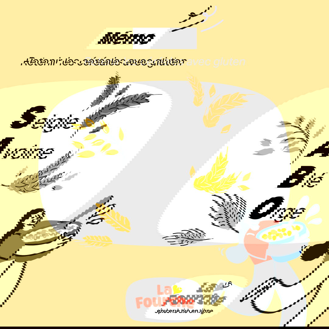 Tout savoir sur le gluten de blé