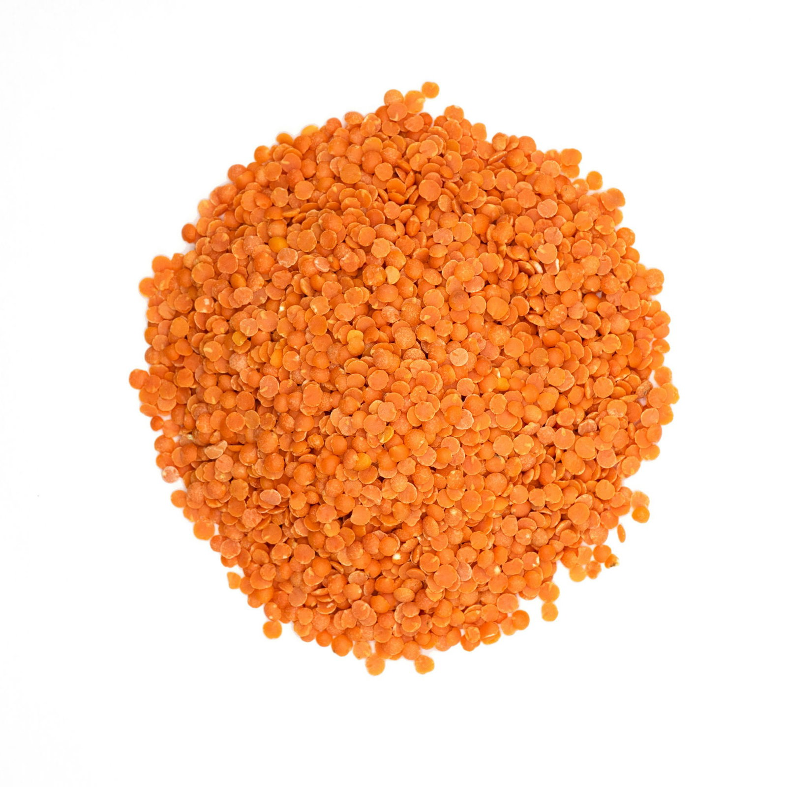 Lentilles Corail Recettes Et Cuisson La Fourche Lentilles Corail Recettes Et Cuisson La Fourche