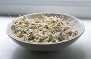 Haricot Mungo Recettes Et Cuisson Haricot Mungo Recettes Et Cuisson