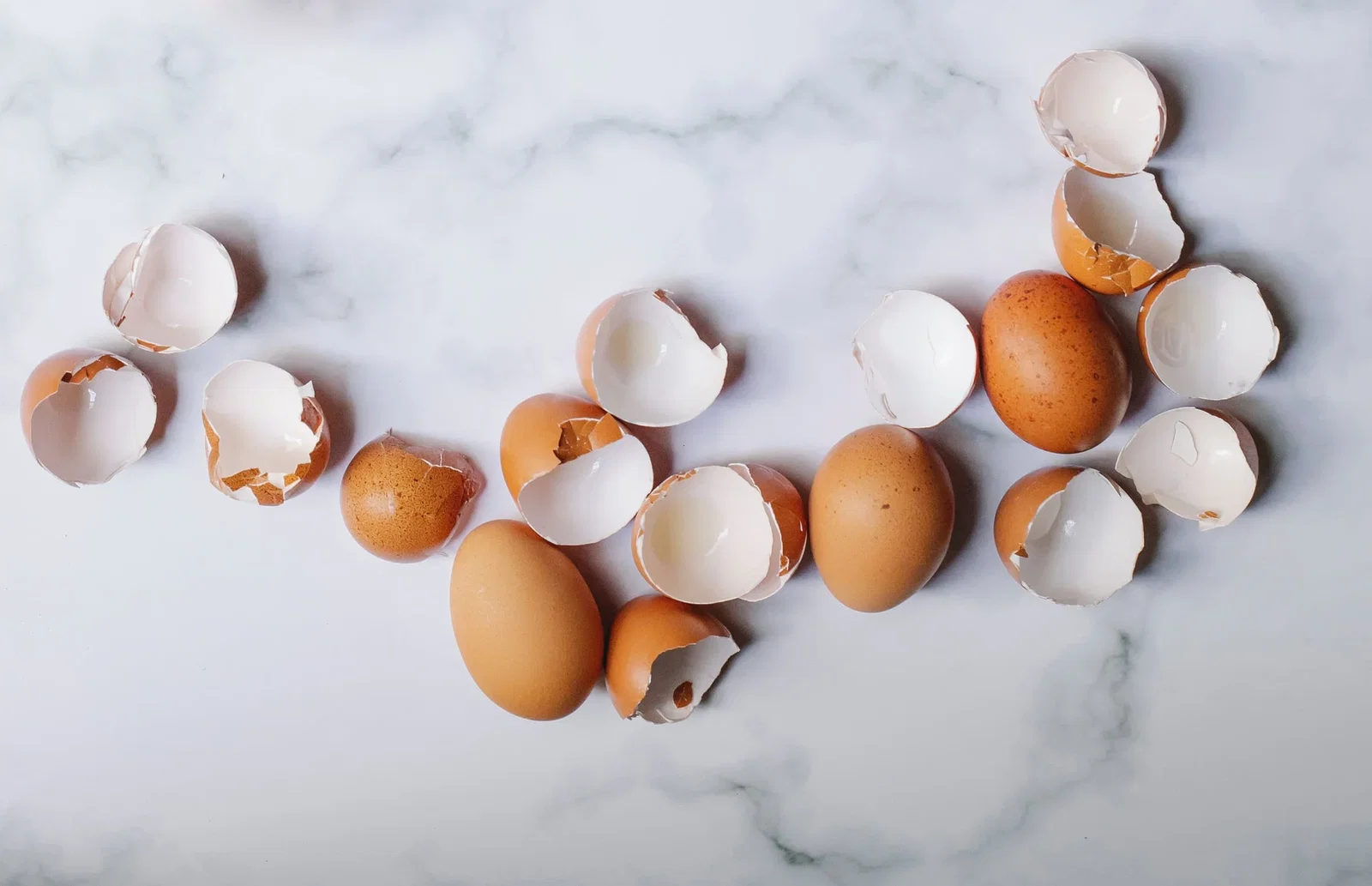 Astuces Jardinage : 5 utilisations surprenantes des coquilles d’œufs